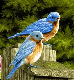 نخ و نقشه تابلو فرش آشیانه