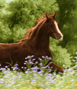 نخ و نقشه تابلو فرش اسب در چمن زار