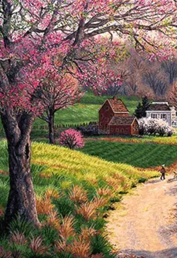 نخ و نقشه به سوی بهار 1