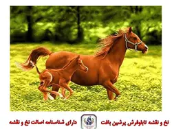 نخ و نقشه تابلو فرش کره اسب