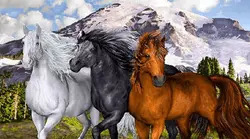 نخ و نقشه تابلو فرش سه اسب