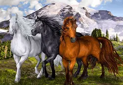 نخ و نقشه تابلو فرش سه اسب