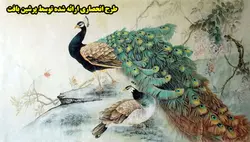 نخ و نقشه تابلوفرش طاووس