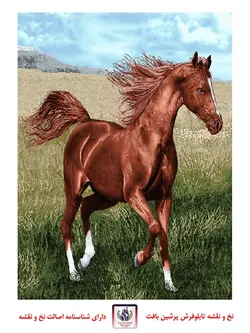 نخ و نقشه حیوانات اسب در بیشه زار