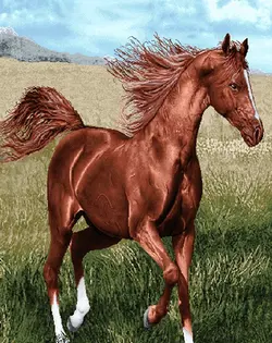 نخ و نقشه حیوانات اسب در بیشه زار