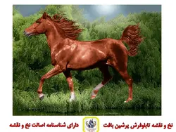 نخ و نقشه حیوانات اسب در جنگل