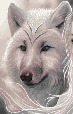 نخ و نقشه رویای گرگ