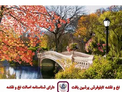 نخ و نقشه سنترال پارک نیویورک