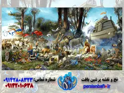 نخ و نقشه طرح فرانسوی کشتی نوح