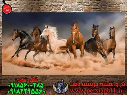 نخ و نقشه فرار اسب های وحشی کویر