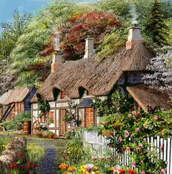 نخ و نقشه کلبه مرغابی ها