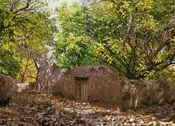 نخ و نقشه کوچه باغ 5