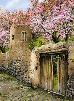 نخ و نقشه کوچه باغ بهاری