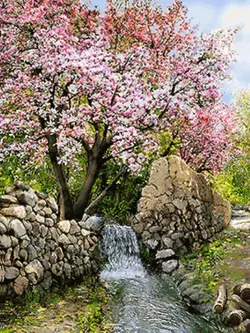 نخ و نقشه کوچه باغ بهاری