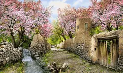 نخ و نقشه کوچه باغ بهاری جدید