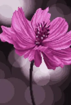 نخ و نقشه گلهای زیبا (چهار)