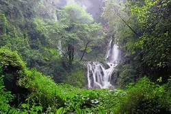 نخ و نقشه منظره آمازون