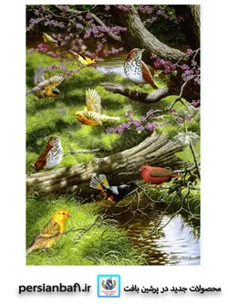 نخ و نقشه پرنده ها در جنگل