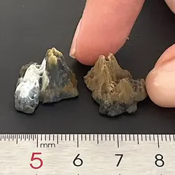 ماکت مینیاتوری کوه 1.5 سانتیمتر بسته دو عددی