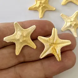 ماکت ستاره دریایی رزین قطر 3 سانتیمتر بسته 5 عددی