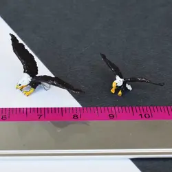 ماکت مینیاتوری عقاب سر سفید