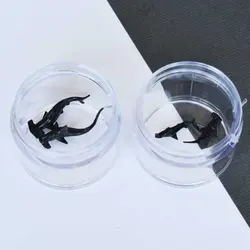 ماکت مینیاتوری کوسه سرچکشی