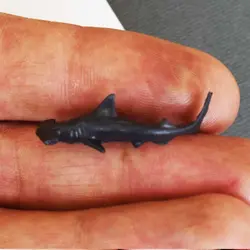 ماکت مینیاتوری کوسه سرچکشی