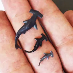 ماکت مینیاتوری کوسه سرچکشی