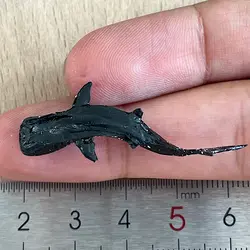 ماکت مینیاتوری ببر کوسه 4 سانتیمتر