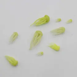 ماکت مینیاتوری عروس دریایی مدل فسفرسانس