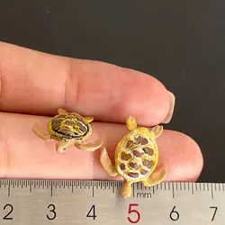 ماکت مینیاتوری لاک پشت 2 سانتیمتر بسته 2 عددی