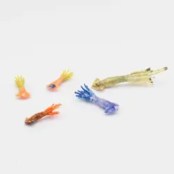 ماکت مینیاتوری ماهی مرکب مدل بلک لایت بسته 5 عددی