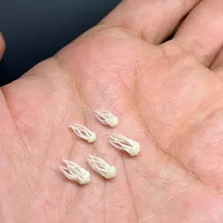 ماکت عروس دریایی شب تاب آبی بسته پنجاه عددی