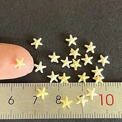 ماکت ستاره دریایی رزین قطر 5 میلیمتر بسته 20 عددی کد ۳