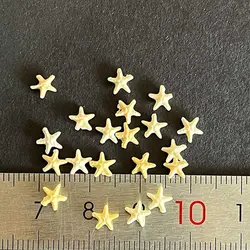 ماکت ستاره دریایی رزین قطر 5 میلیمتر بسته 20 عددی کد ۳