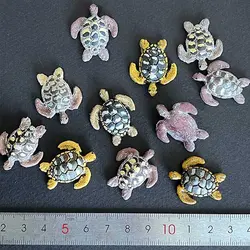 ماکت مینیاتوری لاک پشت 3 سانتیمتر بسته 2 عددی