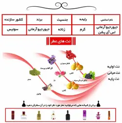عطر جورجیو آرمانی اس آی پشن-عطر جیورجیو سی پشن Giorgio Armani Si Passione