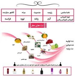 عطر لووه کویزاس کویزاس کویزاس پشن