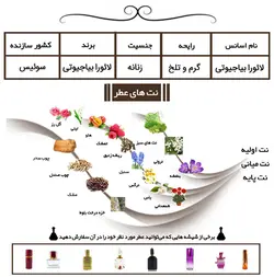 عطر زنانه لائورا بیاجیوتی (Laura Biagiotti)