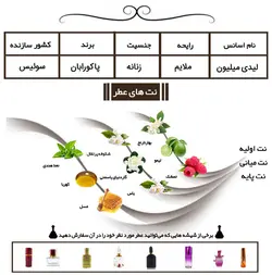 عطر لیدی میلیون Lady Million