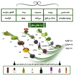 عطر پینو سیلوستر Pino Silvestre