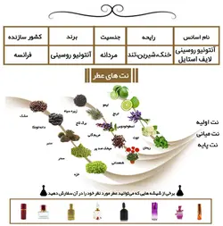 عطر آنتونیو روسینی لایف استایل  Life Style Antonio Rossinie
