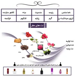 عطر لانکوم ترزور میدنایت رز Tresor Midnight Rose قیمت و خرید