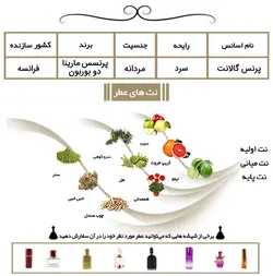 عطر پرنس گالانت prince Galant قیمت و خرید آنلاین عطر مردانه