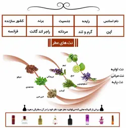 عطر مردانه اپن Open perfume مشخصات قیمت و خرید