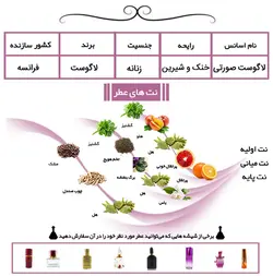 عطر لاگوست صورتی یا عطر تاچ آف پینک