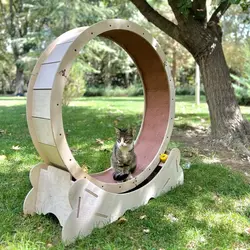 قیمت و خرید تردمیل حیوانات گربه ، سگ ( محصول کاربردی برای تخلیه انرژی ) | تردمیل دورانی حیوان خانگی | کیفیت عالی - فروشگاه اینترنتی دبی مد