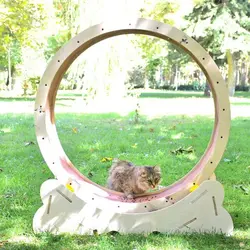 قیمت و خرید تردمیل حیوانات گربه ، سگ ( محصول کاربردی برای تخلیه انرژی ) | تردمیل دورانی حیوان خانگی | کیفیت عالی - فروشگاه اینترنتی دبی مد