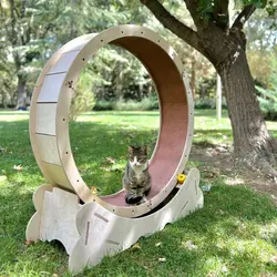 قیمت و خرید تردمیل حیوانات گربه ، سگ ( محصول کاربردی برای تخلیه انرژی ) | تردمیل دورانی حیوان خانگی | کیفیت عالی - فروشگاه اینترنتی دبی مد