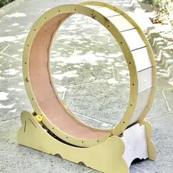 قیمت و خرید تردمیل حیوانات گربه ، سگ ( محصول کاربردی برای تخلیه انرژی ) | تردمیل دورانی حیوان خانگی | کیفیت عالی - فروشگاه اینترنتی دبی مد